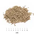 CannaBestCat